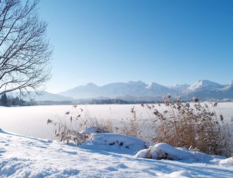 Top Deals: Winter-Fit with 10% discount - Biohotel Eggensberger