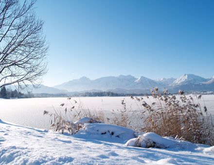 Angebot: Winter-Fit mit 10%-Bonus - Biohotel Eggensberger