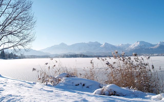 Biohotel Eggensberger: Fit for Winter with 10% discount