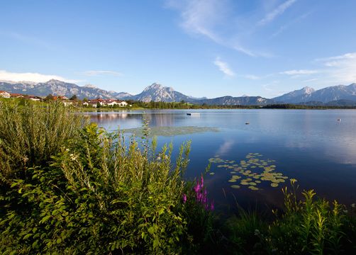 BIO HOTEL Eggensberger: Einfach herrlich – See, Berge und Königsschlösser - Biohotel Eggensberger, Füssen - Hopfen am See, Allgäu, Bayern, Deutschland