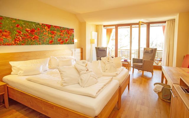 Accommodation Room/Apartment/Chalet: Double room relax
