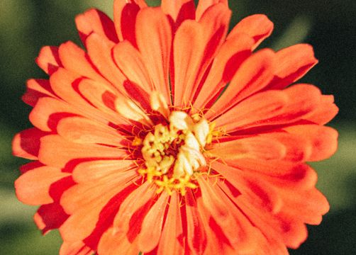 MENTAL DETOX RETREAT - Biorefugium theiner's garten