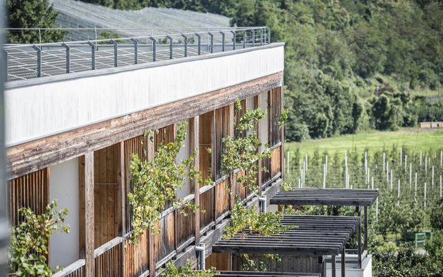 Das Biorefugium Theiner S Garten