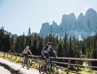 Top Angebot: BIKEWOCHE - Biorefugium theiner's garten
