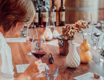 Top Deals: 3RD THEINER'S WINE SAFARI - Biorefugium theiner's garten