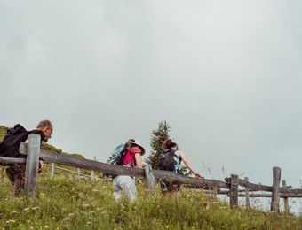 Top Angebot: HÖHENLUFT UND HERZKLOPFEN - Biorefugium theiner's garten