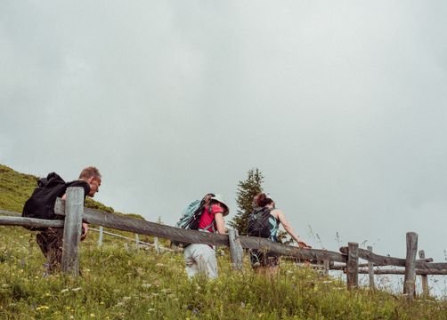 HÖHENLUFT UND HERZKLOPFEN - Biorefugium theiner's garten