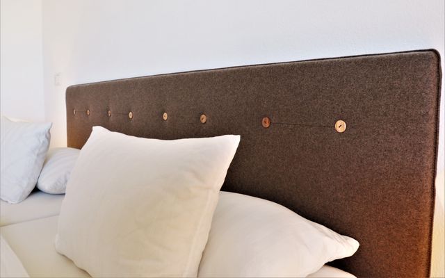 Accommodation Room/Apartment/Chalet: Double Room for Single Use