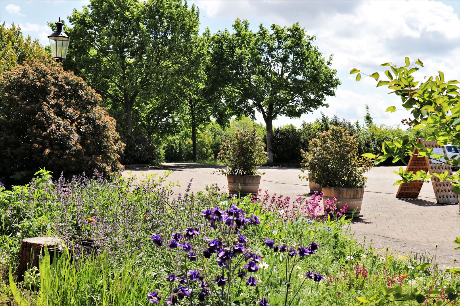 Biohotel Gänz Hackenheim Garten