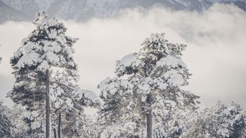 Biohotel Schweitzer Urlaub im Winter Landschaft