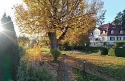 Schlossgut Oberambach: Schlosspark im Herbst - Schlossgut Oberambach , Münsing am Starnberger See, Münchner Raum, Bayern, Deutschland