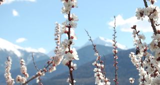 Biohotel Panorama Mals Südtirol Frühlings Urlaub