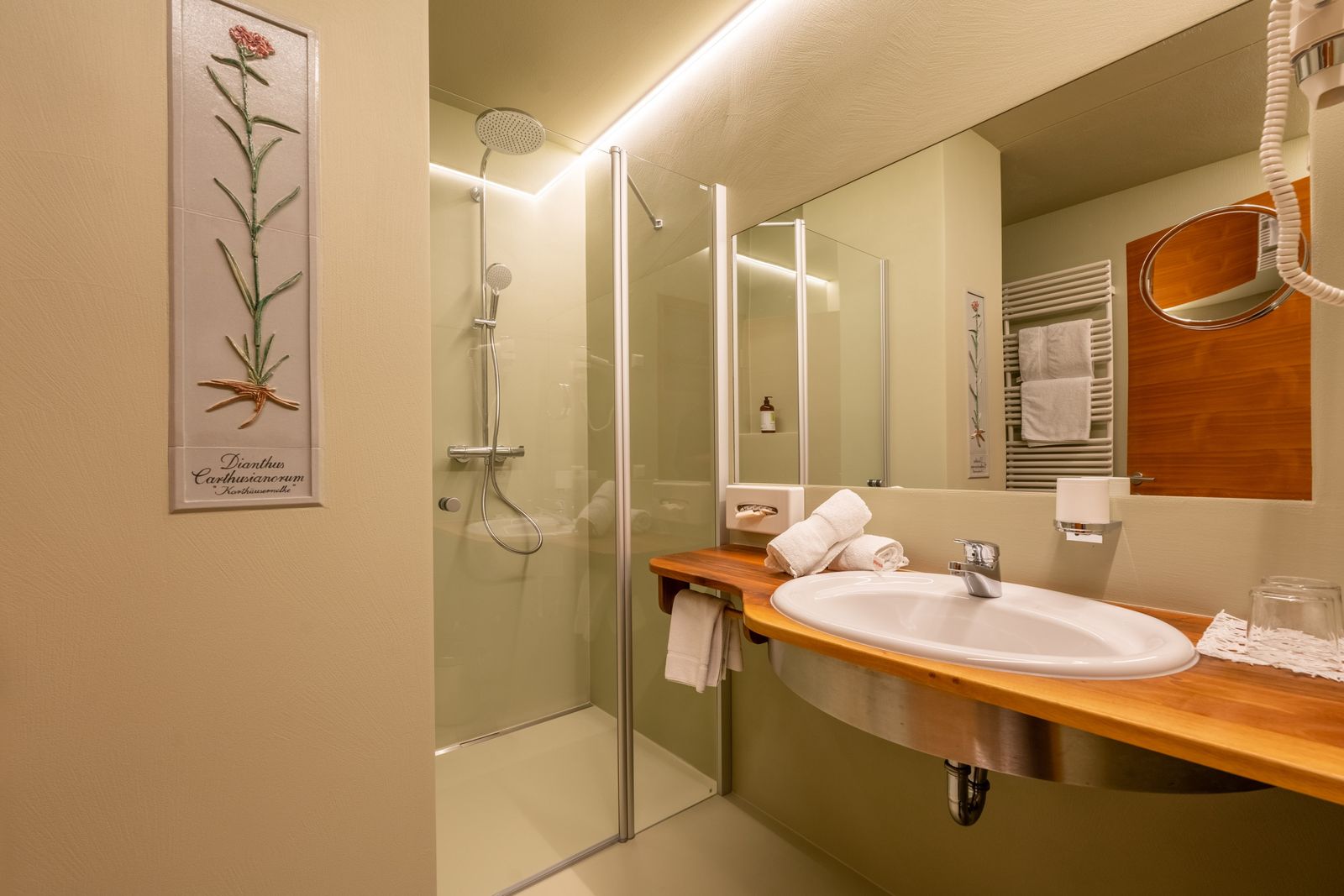 Badezimmer DZ Panorama