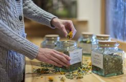 moor&mehr Bio-Kurhotel, Bad Kohlgrub, Alpenvorland, Bavaria, Germany (47/60)