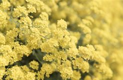 moor&mehr Bio-Kurhotel, Bad Kohlgrub, Alpenvorland, Bavaria, Germany (32/60)