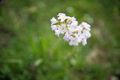 Naturheilpraxis: Gesundheits-Check