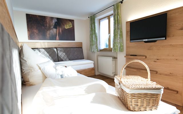 Accommodation Room/Apartment/Chalet: Twin room mint with south-facing terrace