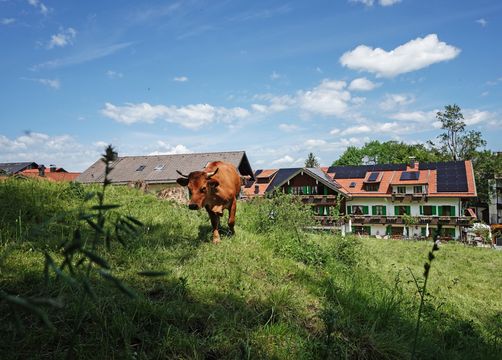 moor&mehr Bio-Kurhotel, Bad Kohlgrub, Alpenvorland, Baviera, Germania (22/53)