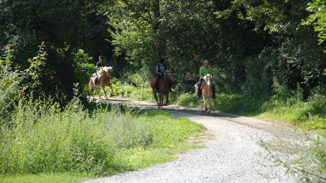 Weekend a cavallo per esperti
