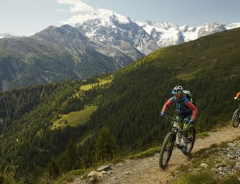 Offerte Top: Con l'e-bike attraverso la Val Venosta - Landhotel Anna & Reiterhof Vill