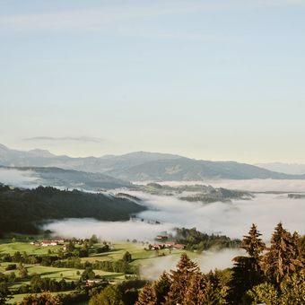 HERBST GENUSSTAGE - Bergkristall - Mein Resort im Allgäu