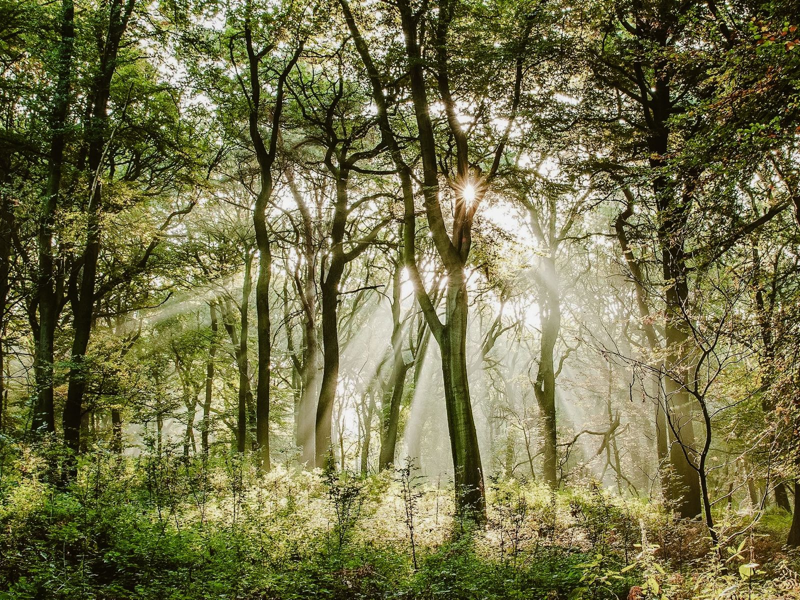 SINNE.SEELE.KRAFTTAGE RETREAT - Bergkristall - Mein Resort im Allgäu