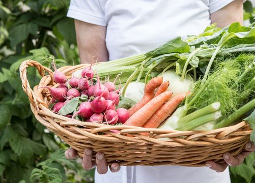 Biohotel Schwanen: Frisches Gemüse vom eigenen Garten (13/27) - Biohotel Schwanen