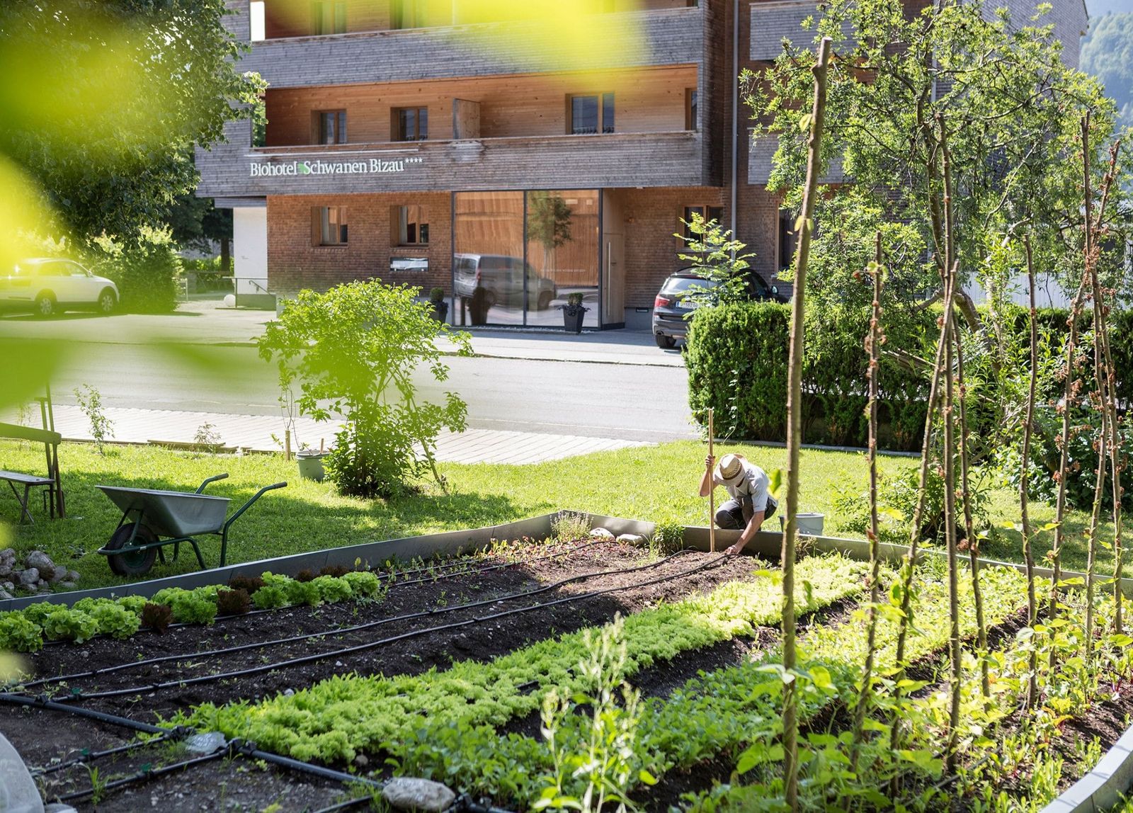 Schwanen I image 9 - Biohotel Schwanen