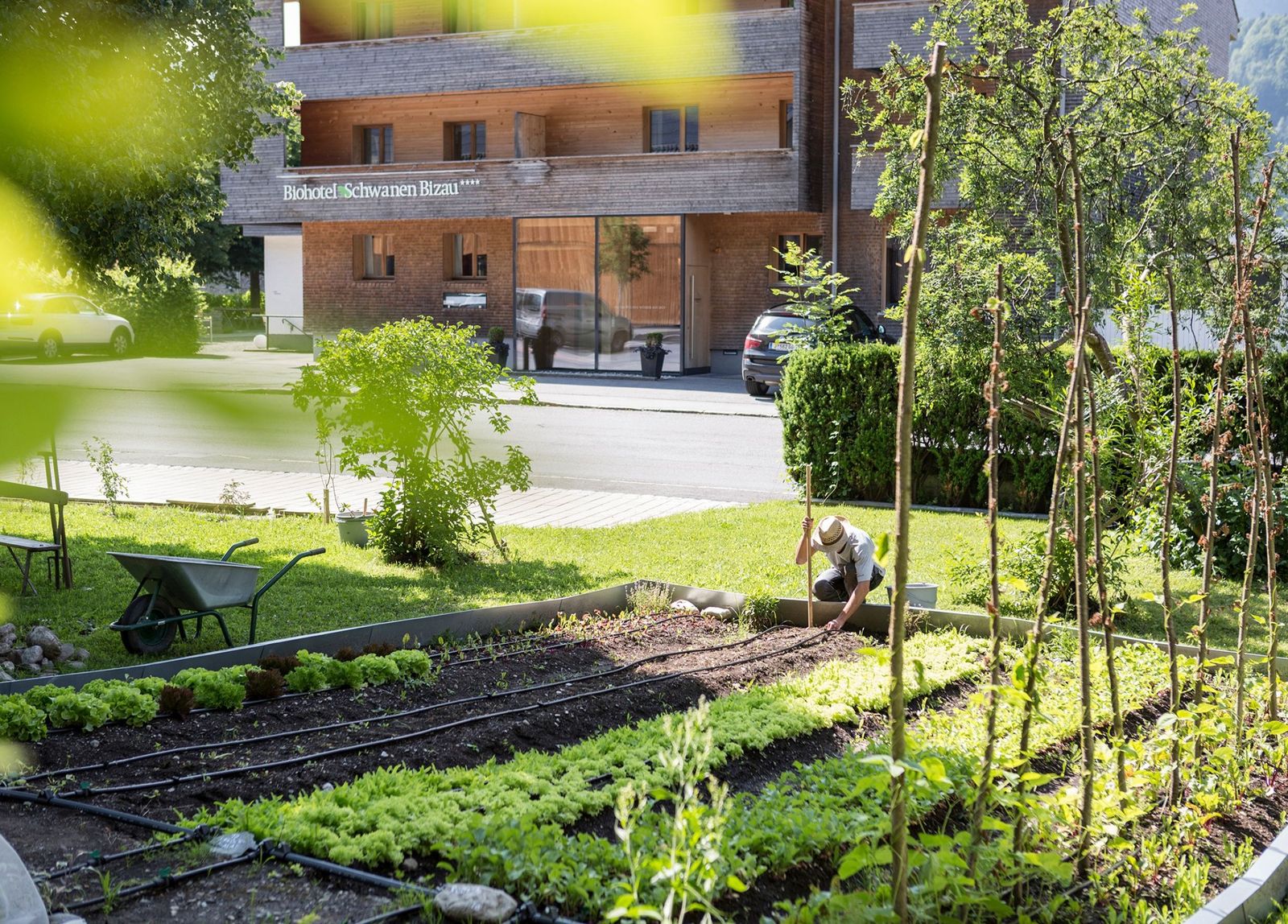 Schwanen II image 19 - Biohotel Schwanen