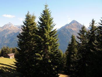 Brandstatt Alm - Tirol - Österreich