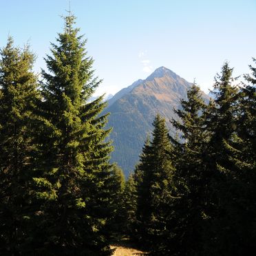 Aussicht, Brandstatt Alm, Finkenberg, Tirol, Tirol, Österreich