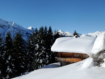 Brandstatt Alm - Tirol - Österreich