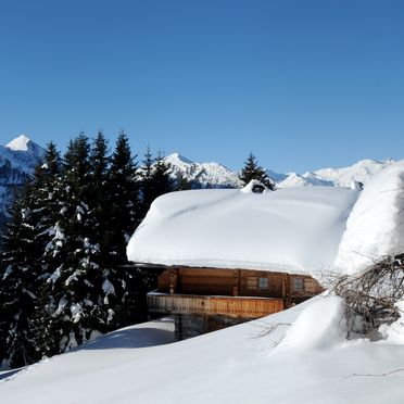 , Brandstatt Alm, Finkenberg, Tirol, Tyrol, Austria