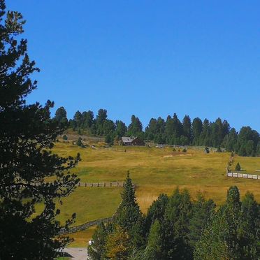 , Costaces Hütte, Am Würzjoch, Südtirol, Trentino-Alto Adige, Italy