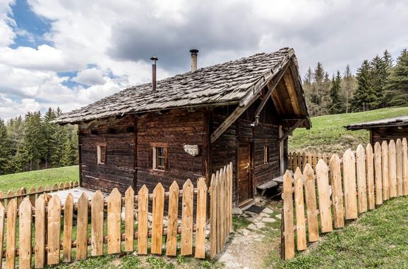 Sommer, Reh's Wiesen Hütte, Lüsen/Brixen, Südtirol, Trentino-Südtirol, Italien