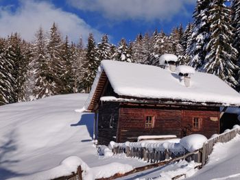 Reh's Wiesen Hütte - Trentino-Alto Adige - Italy