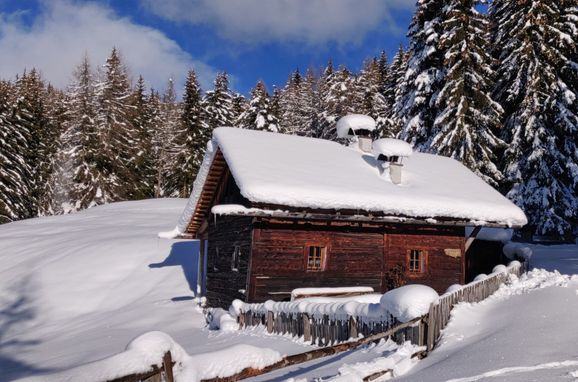 , Reh's Wiesen Hütte, Lüsen/Brixen, Südtirol, Trentino-Alto Adige, Italy