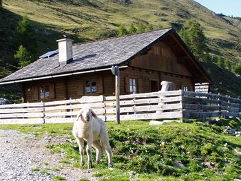 Fröschlhütte - Kärnten - Österreich