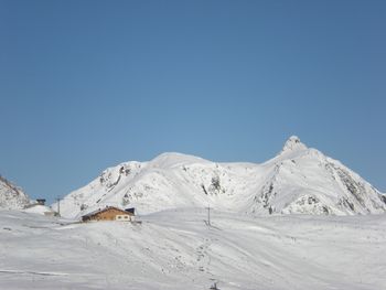 Latschenalm - Tirol - Österreich