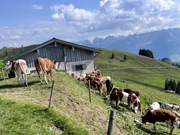 Lockner Hütte - Tirol - Österreich