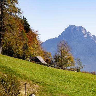 Autumn, Kuschelhütte, Neukirchen, Oberösterreich, Upper Austria, Austria