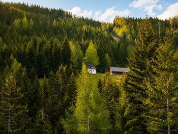 Staller Brendl - Styria  - Austria