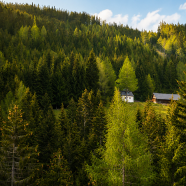 Sommer, Staller Brendl, Obdach, Steiermark, Steiermark, Österreich