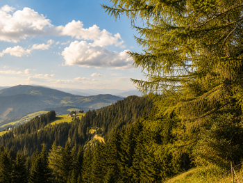 Staller Brendl - Styria  - Austria