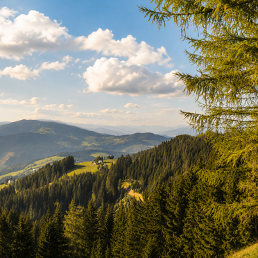 Sommer, Staller Brendl, Obdach, Steiermark, Steiermark, Österreich