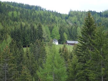 Staller Brendl - Steiermark - Österreich