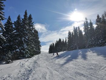 Almrausch-Feriendorf Koralpe - Carinthia  - Austria