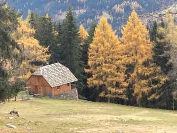 Pirschhütte - Steiermark - Österreich