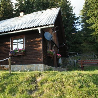Sommer, Zirbenwaldhütte, Mühlen, Steiermark, Steiermark, Österreich