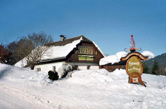 Frontansicht, Hoamatlhütte, Pichl, Steiermark, Steiermark, Österreich